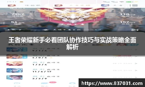 王者荣耀新手必看团队协作技巧与实战策略全面解析